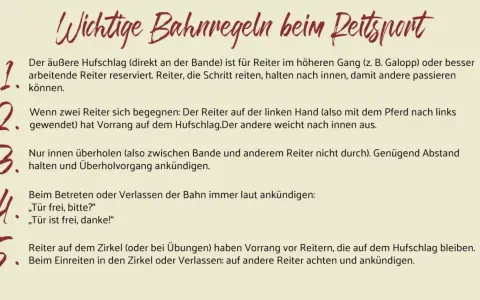 Wichtige Bahnregeln beim Reitsport: Reiter auf der linken Hand haben Vorrang. Beim Überholen auf der rechten Hand Abstand halten.