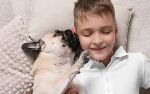 Chłopiec leży z zamkniętymi oczami, a mops go liże. Może to jego sposób na powiedzenie "czemu pies mnie liże", czyli "kocham cię".