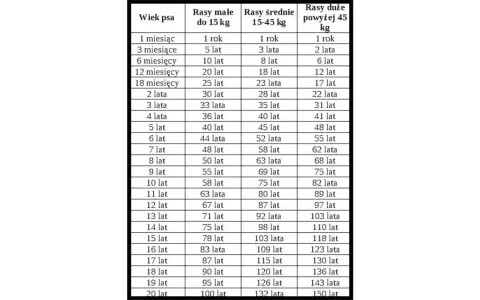 Tabela pokazuje wiek psa w latach i miesiącach oraz jego przewidywaną wagę w zależności od rasy. Jaki wynik psa jest niepokojący? Zależy od rasy i wieku.