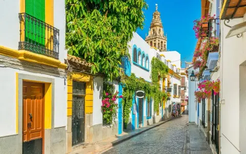 Calle empedrada con casas blancas adornadas con flores y enredaderas. Al fondo, la torre de la Mezquita-Catedral, un imprescindible que ver en Andalucía.