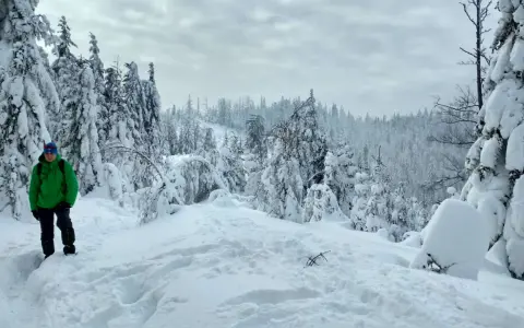 Chłopiec w zielonej kurtce przemierza zasypany śniegiem Beskid Mały. Drzewa pokryte grubą warstwą puchu tworzą zimowy krajobraz.