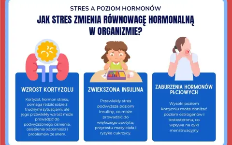 Grafika ilustruje objawy stresu: wzrost kortyzolu, zwiększoną insulinę i zaburzenia hormonów płciowych.