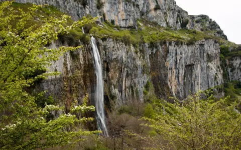 Impresionante cascada en el nacimiento del río Asón, cayendo por un acantilado rocoso cubierto de vegetación verde y flores blancas.