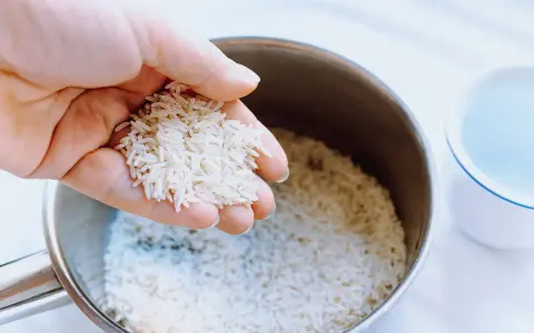 Mano sosteniendo arroz para calcular el tiempo cocción arroz perfecto. Olla con arroz y taza de agua al lado.