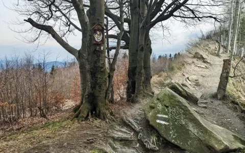 Kapliczka na drzewie przy kamienistej trasie na Leskowiec. Szlak prowadzi przez las, z widokiem na góry.