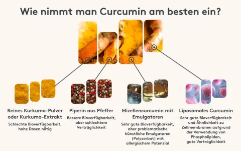 Kurkuma wie einnehmen: Pulver, Pfeffer, Mizellen oder liposomales Curcumin. Die Grafik zeigt verschiedene Formen und deren Bioverfügbarkeit.