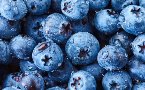Frische Heidelbeeren mit Wassertropfen, bereit für süße Leckereien.
