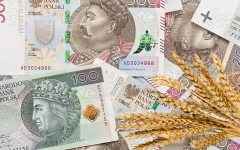 Ile kosztuje tona zboża w skupie? Sprawdź aktualne ceny i różnice