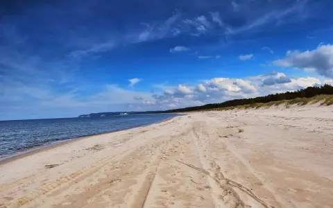 Piękna, piaszczysta mechelinki plaża z widokiem na morze i las.
