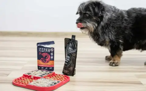 Pies z językiem na wierzchu patrzy na matę do wylizywania dla psa wypełnioną smakołykami.
