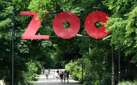 Witaj w największym zoo w Polsce! Czerwony napis "ZOO" wita gości na alei wśród zieleni.
