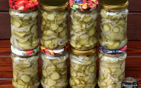Słoiki z domową sałatką z ogórków i cebuli, gotowe na zimę.