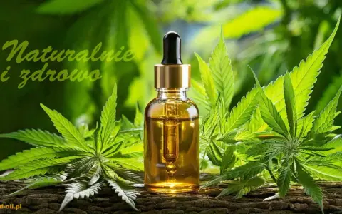Naturalny olejek CBD, który zawiera kannabinoidy. Co to jest? To ekstrakt z konopi, który wspiera zdrowie.