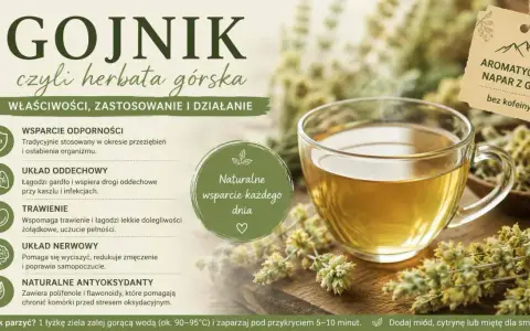 Gojnik, czyli herbata górska, pomaga na odporność, układ oddechowy, trawienie i nerwy. To naturalne wsparcie każdego dnia.