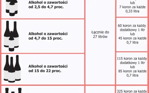 Alkohol do Norwegii samolotem: Limity, cło i jak uniknąć kar?