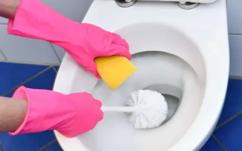 Hände in pinken Handschuhen reinigen die Toilette mit einer Bürste und einem Schwamm. Soda ist ein tolles Hausmittel zur Toilette mit Soda reinigen.