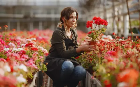 Jakie kwiaty sadzić w maju? Poradnik przed i po Zimnych Ogrodnikach