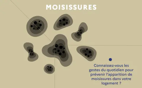 Illustration de taches de moisissures. Le texte demande : "Connaissez-vous les gestes du quotidien pour prévenir l'apparition de moisissures dans votre logement ?
