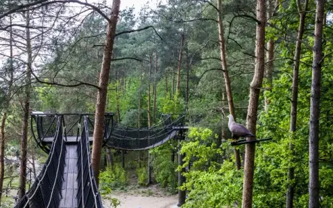 Atrakcje pod Warszawą: Idealne miejsca na weekend i jednodniowe wypady