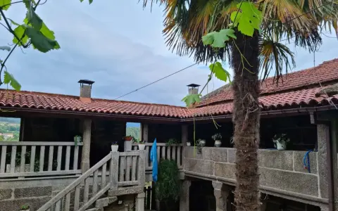 Un patio de piedra con escaleras y barandillas, un palmera y tejados rojos. Un lugar perfecto para una casa parranda.