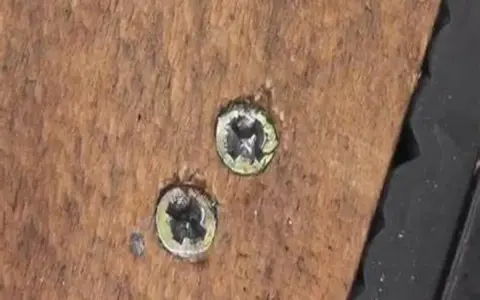 Dos tornillos pasados de rosca en madera. Aprende como quitar un tornillo pasado de rosca en metal con estos consejos.