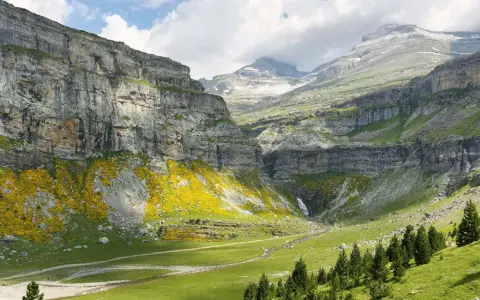 Majestuoso valle de Ordesa con cascada, acantilados cubiertos de flores amarillas y pinos. La cola de caballo de Ordesa cae en la distancia.