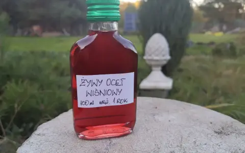 Butelka żywego octu wiśniowego, 100 ml, z zieloną zakrętką. W tle ogród. Ocet wiśniowy właściwości zdrowotne.