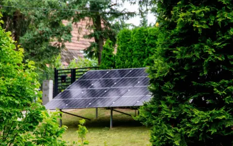 Panele fotowoltaiczne w ogrodzie, otoczone zielenią, czerpią energię ze słońca.
