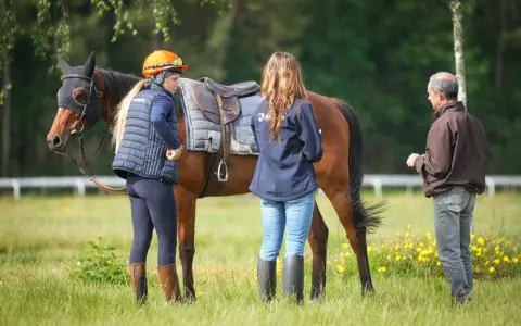Une femme en tenue d'équitation discute avec un homme près d'un cheval sellé, lors d'une formation cheval pour adulte en extérieur.