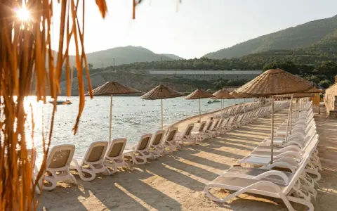 Rzędy leżaków i parasoli na plaży w Bodrum, słońce przebija się przez liście palmy.