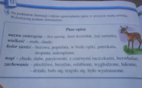 Opis zwierzęcia klasa 3: mała, chuda sarenka o beżowej sierści, płochliwa i wystraszona.