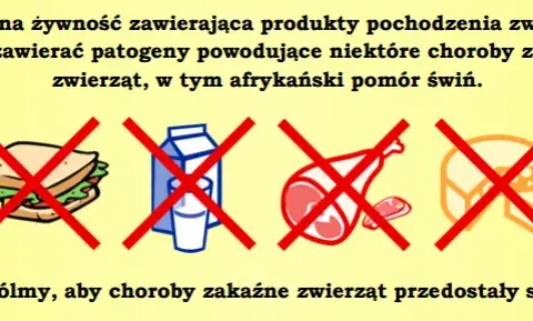 Żywność do Szwajcarii? Sprawdź limity i uniknij problemów!