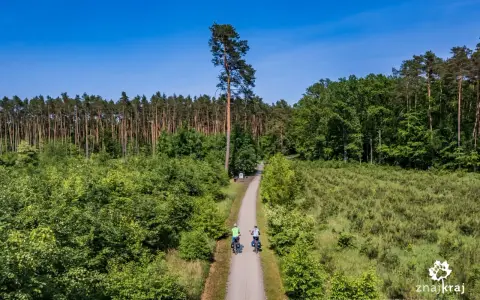 Dwie osoby na rowerach przemierzają leśne trasy rowerowe. Droga wiedzie przez gęsty las i polany.