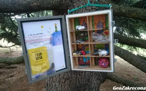 Skrzynka geocachingowa na drzewie z cytatem z "Małego Księcia" i drobnymi skarbami. To właśnie geocaching co to za zabawa!