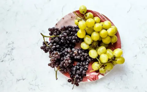 Zwei Trauben, dunkle und helle, liegen auf einem Teller. Sie sind ein Beweis dafür, wie gesund weintrauben sind.