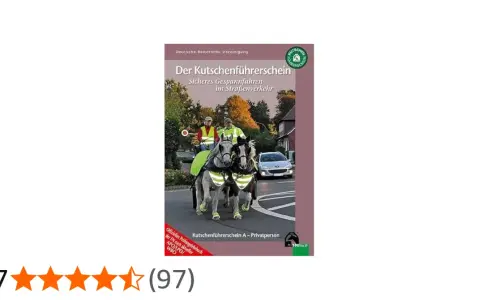 Buchcover zeigt zwei Pferde vor einer Kutsche, die auf einer Straße fahren. Titel: "Der Kutschenführerschein".