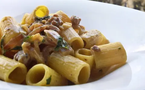 Rigatoni cremosi con salsiccia sbriciolata e erbe aromatiche, un piatto invitante.