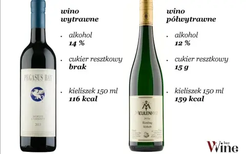 Ile kalorii ma wino wytrawne? Sprawdź fakty i dietetyczne triki