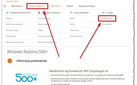 Wniosek Rodzina 500+ w ING. Czy 800 plus wlicza się do dochodu? Informacje o świadczeniu.