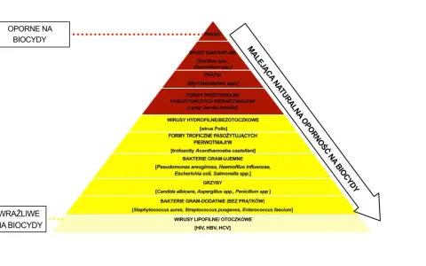 Piramide oporności drobnoustrojów na biocydy: od prionów po wirusy lipofilne.