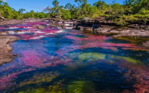 El río Caño Cristales, un espectáculo natural con aguas cristalinas y algas de vibrantes colores rojo, rosa y verde, rodeado de vegetación exuberante.