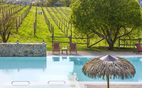 Piscina e vigneti in un agriturismo in Piemonte, ideale per un pranzo rilassante.