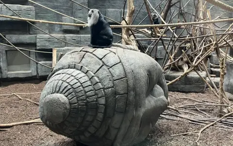 Orientarium ZOO Łódź Bilety: Ceny, Zniżki, Jak Kupić i Co Zobaczysz?