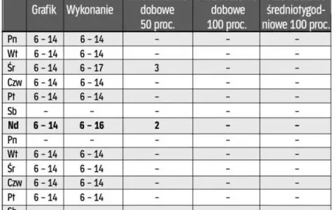 Staż w Polsce: Czas pracy, nadgodziny, weekendy wszystko o prawach