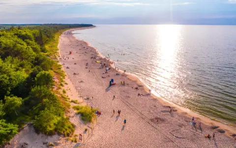 Piękna plaża z lasem sosnowym, idealne miejsce, gdzie pojechać na wakacje w Polsce. Słońce odbija się w wodzie, a ludzie odpoczywają na piasku.