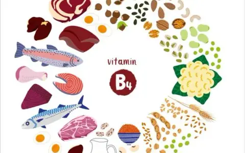 Vitamin B4: Wichtige Informationen über Mangel, Vorteile und Quellen