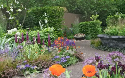 En vacker rabatt med lupiner, vallmo och andra blommor. Perfekt inspiration för att planera rabatt.