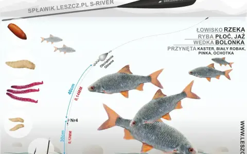 Zestaw na lina spławik: żyłka 0,14mm, haczyk nr 4, przynęty kaster, biały robak, pinka, ochotka. Idealny na rzekę, na płoć i jaź.