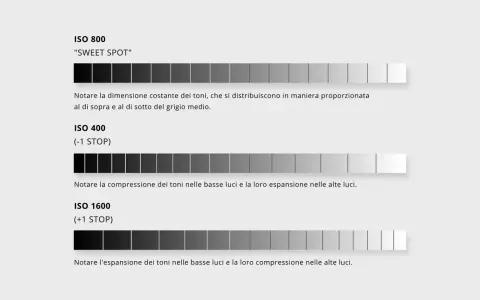 Confronto gamma dinamica: ISO 800 (sweet spot), ISO 400 (meno dettagli ombre), ISO 1600 (meno dettagli alte luci).
