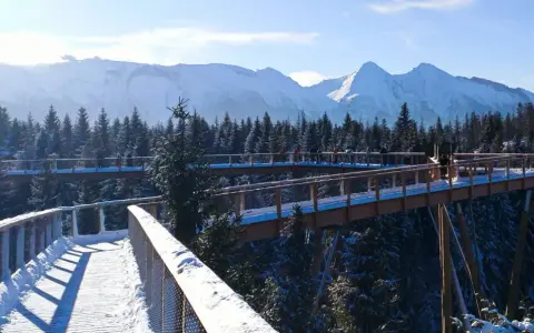 Ścieżka w koronach drzew zimą, widok na ośnieżone Tatry. Jak dojechać z Zakopanego?